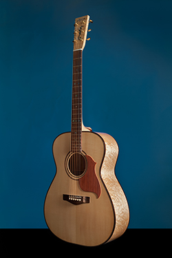 aegilium guitar